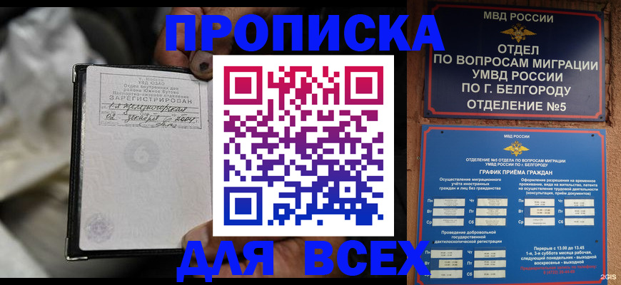 где прописаться в Губкине